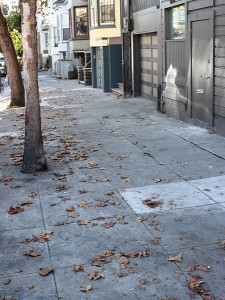 sidewalk_leaves